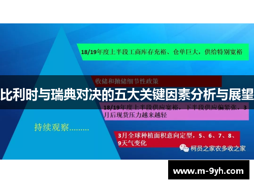 比利时与瑞典对决的五大关键因素分析与展望